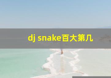 dj snake百大第几